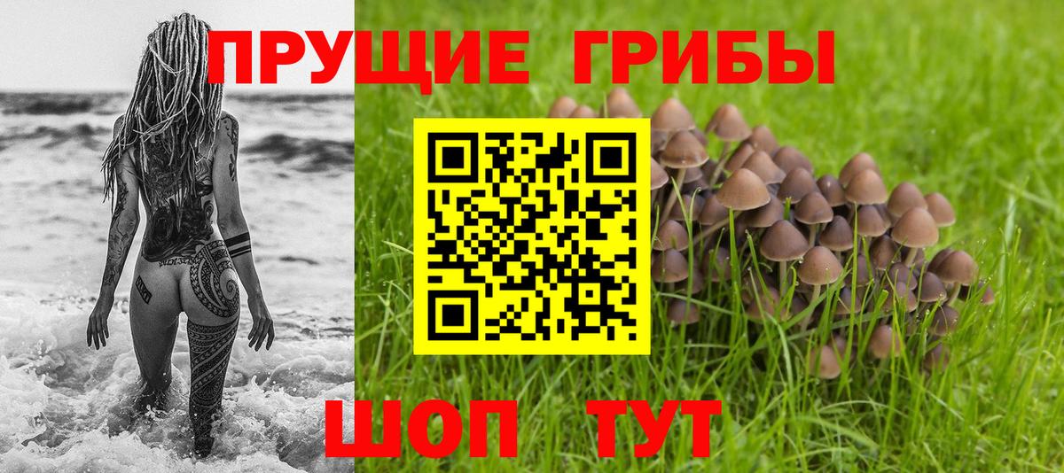 Бошки Шишки Октябрьский